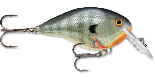 Rapala DT Series Crankbait DT4